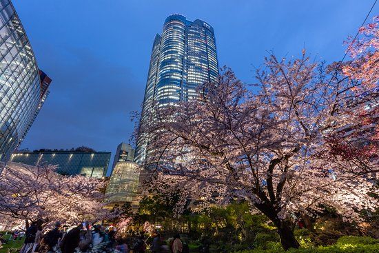 Roppongi Hills